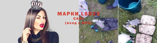 ALPHA PVP Богородицк