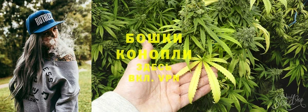 ALPHA PVP Богородицк