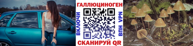 Псилоцибиновые грибы мицелий Кировск