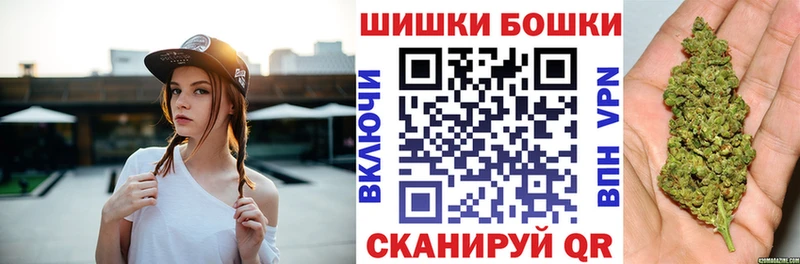 как найти наркотики  Кировск  Бошки марихуана Bruce Banner 